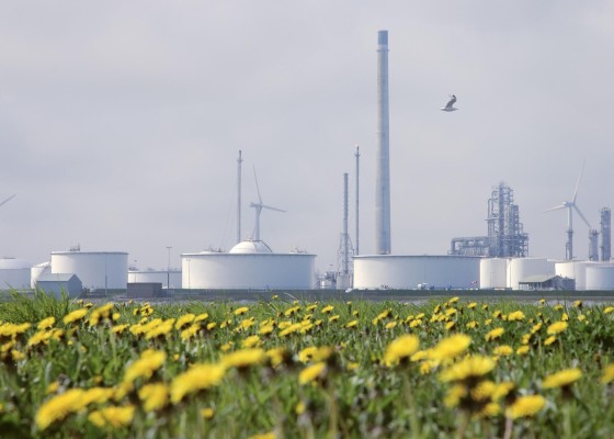 Strong Steps in Sustainability and Production