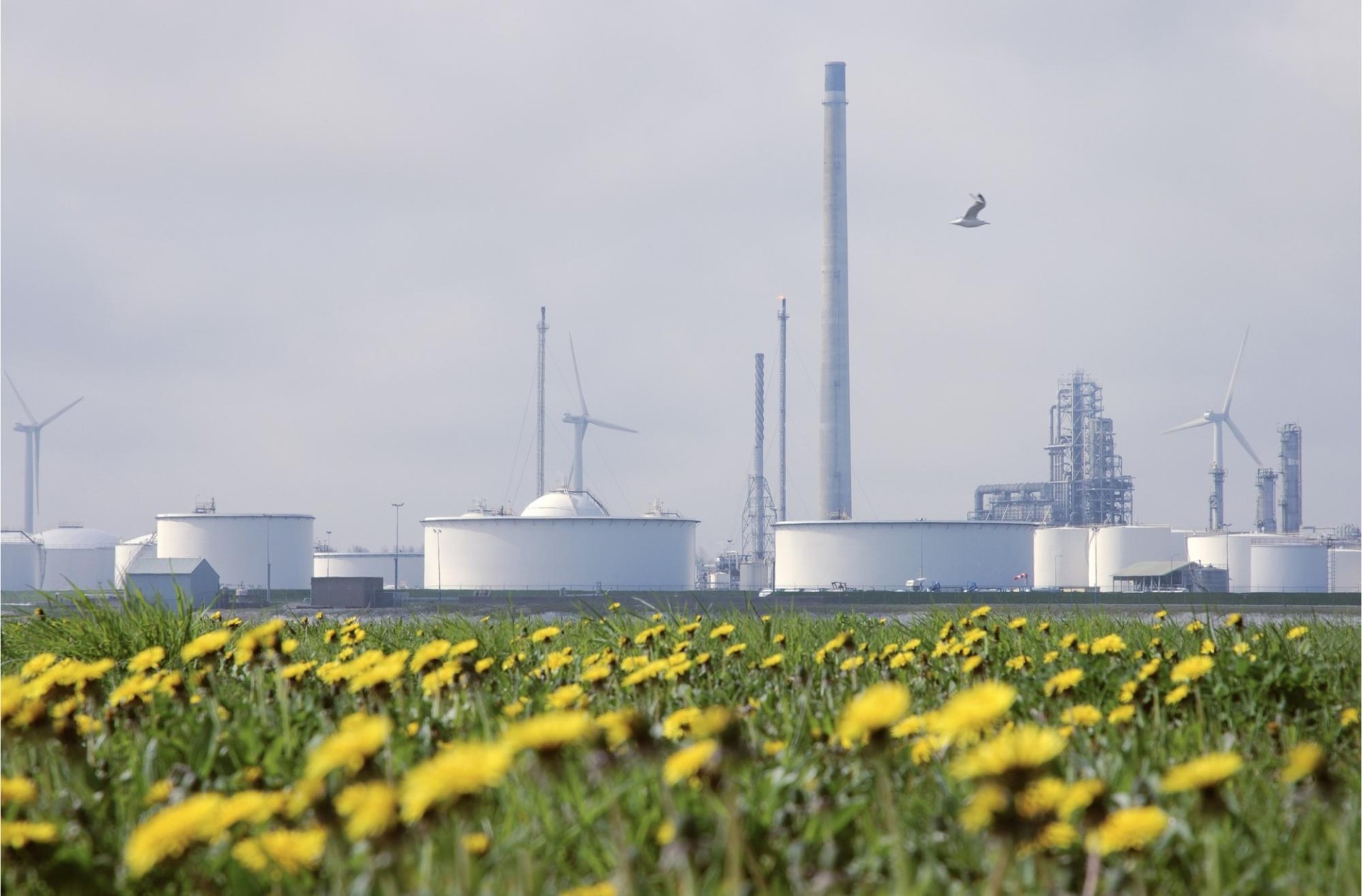 Production that Shapes the Future, an Approach that Respects Nature