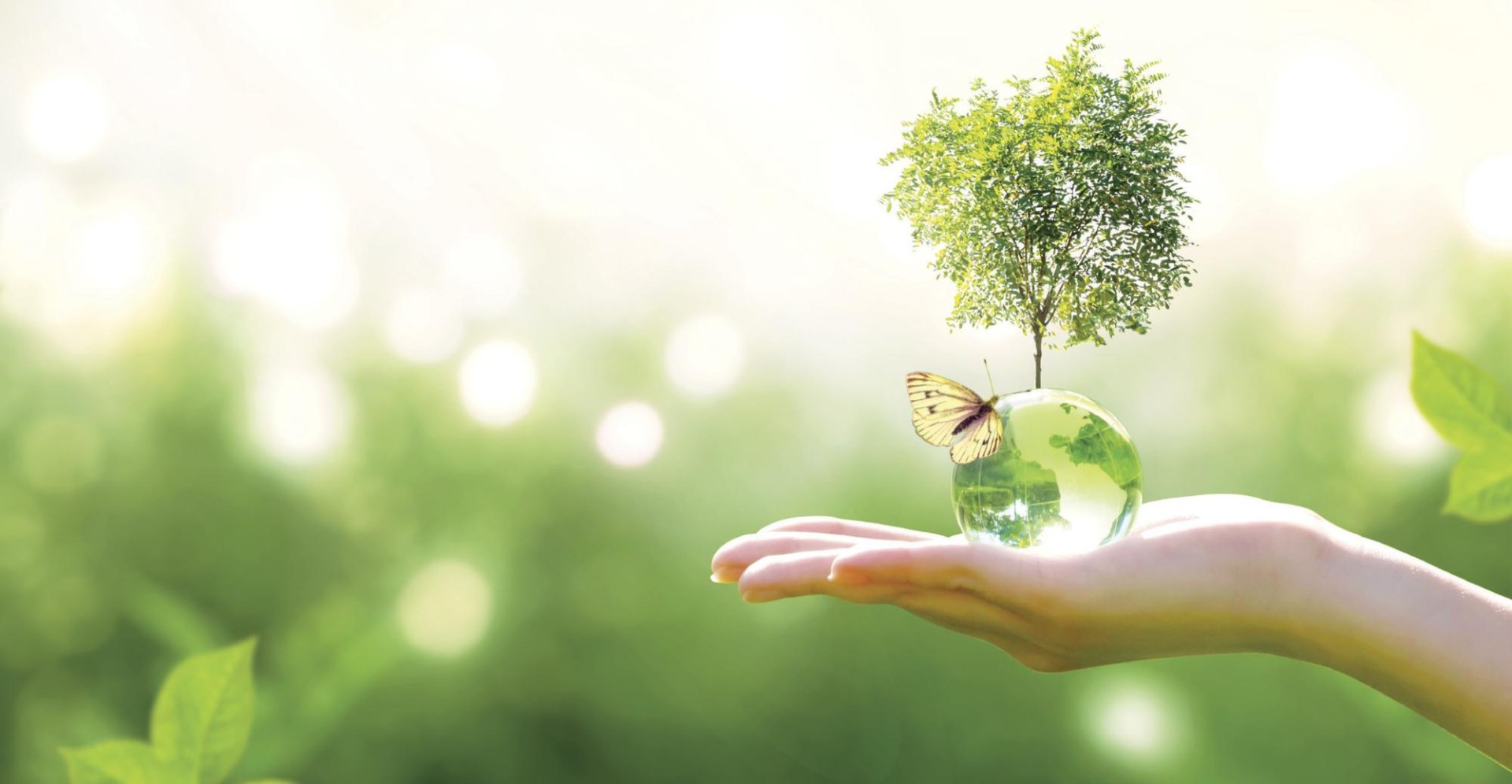 Strong Steps in Sustainability and Production